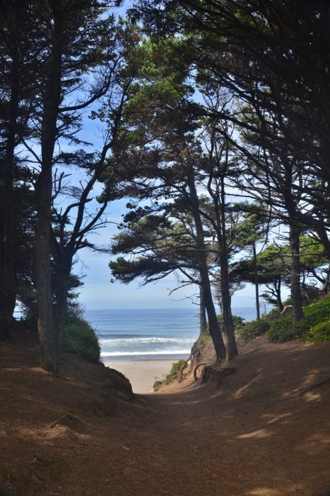 The woody entrance to Gleneden Beach